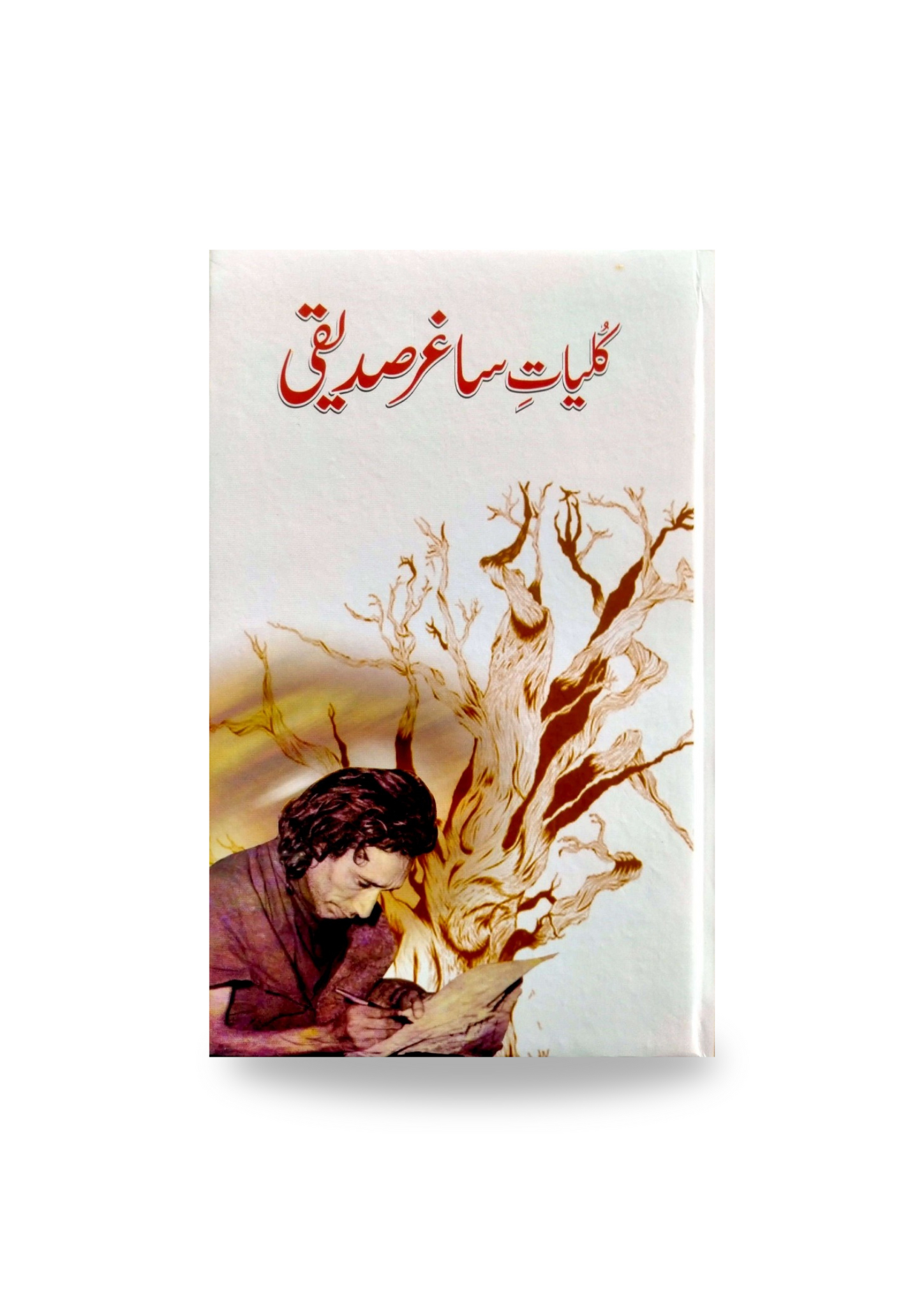 Kuliyaat e Saghir Sadiqque